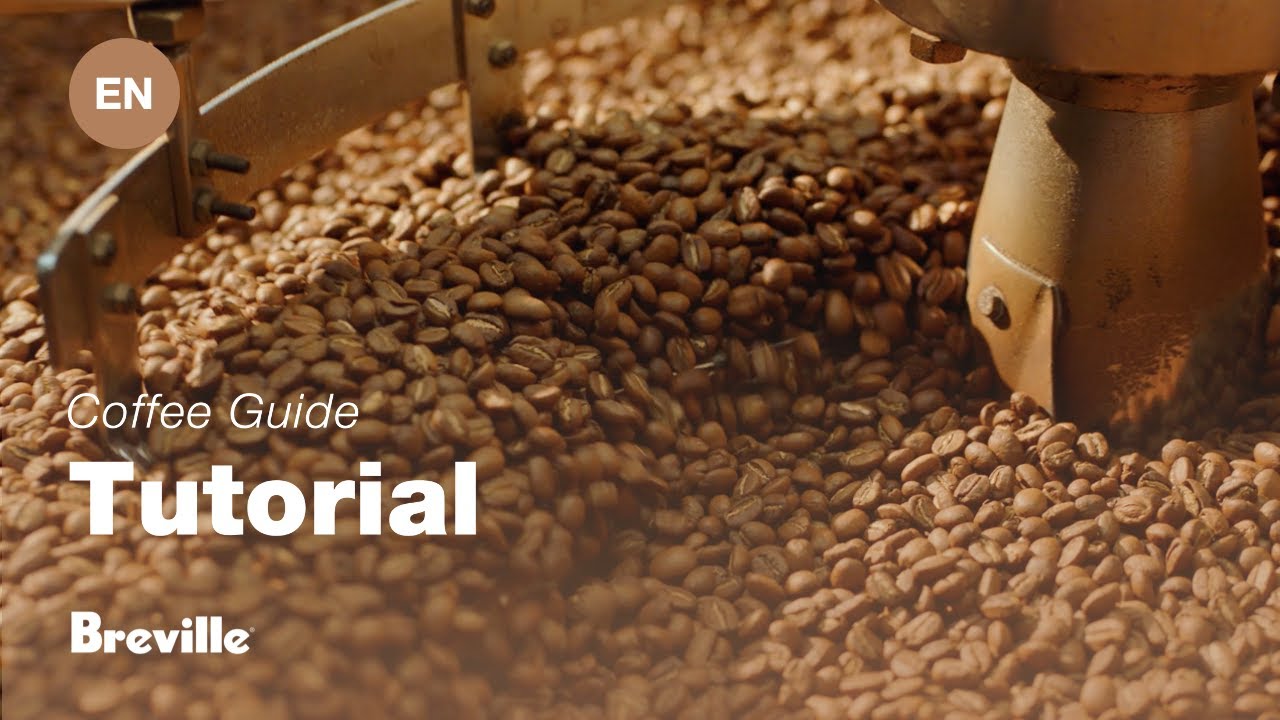 Choosing the right beans