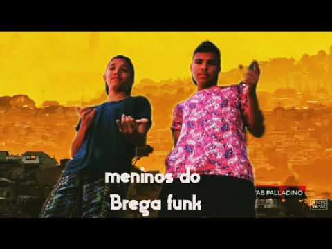 Meninos do Brega Funk (Música Hoje Tou Tipo Pica Pau)