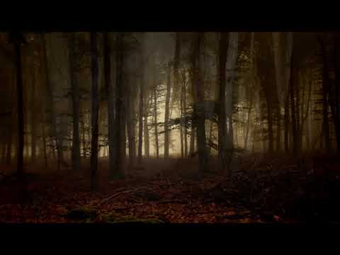 Vladan Cedic [Life Is Beautiful Trance Collection] - Night (Original Mix)