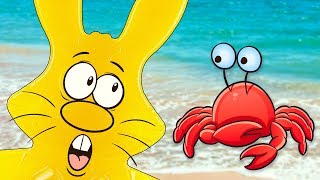 МОРСКИЕ ПРИКЛЮЧЕНИЯ ЖЕЛЕЙНОГО ЗАЙЦА ХАРИТОНА! ТРЕПАНГ МОРСКОЙ ГРЕБЕШОК ВЕСЕЛЫЕ КРАБЫ