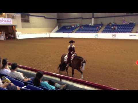 2015 AjPHA World Show