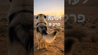 עוברים לערבה -פרק 9 #ערבה #התחלותחדשות #חיות