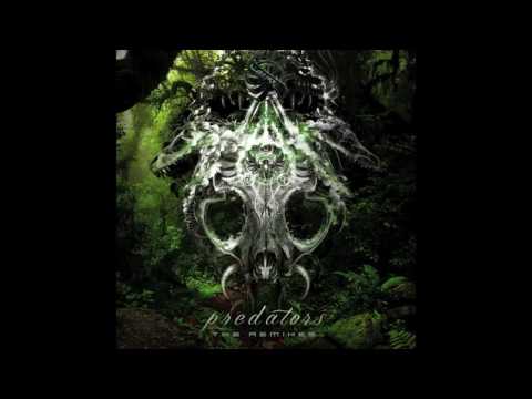 Endeavour vs Disorder - Predators (Golden Ratio Rmx)