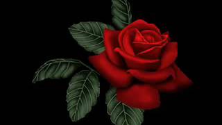 Cesaria Evora   Tiempo y Silencio