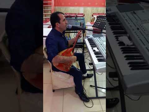 SEVGİ MÜZİK FERİT GÜMÜŞ erik dalı