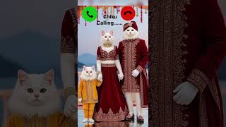 Download lagu chiku calling✨🤙 viral🔥 ringtone mi#🤙viralshortvedeo#yt#short#vedeo#cute#cat#family#chiku#calling#mi# mp3