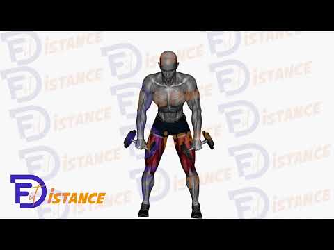 Exercice Soulevé de terre avec haltères jambes tendues