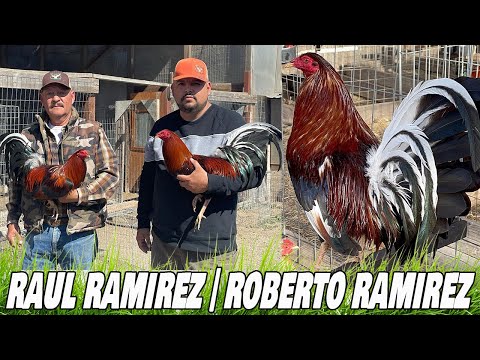 Roberto Ramirez Spring Grove Farm In California USA | Farm Visit