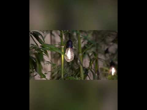 Уличная ретро гирлянда под цоколь Е27 Premium (5 метров) IP65 влагозащищенная