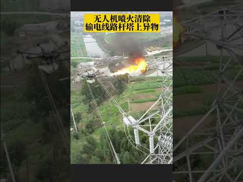AmazingChina: Drone Torches Giant Hornet Nest