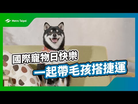 寵物專車