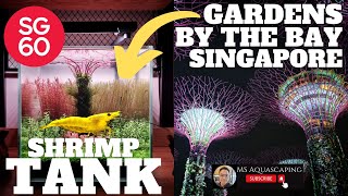SHRIMP TANK SETUP - GARDENS BY THE BAY SUPERTREE UNDERWATER AQUASCAPE AQUARIUM - SG60 - NDP 2025