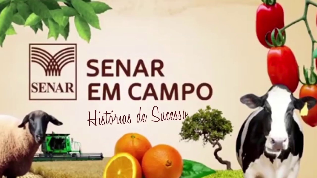 SENAR EM CAMPO - Histórias de Sucesso/ Bovinos (BA)