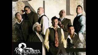 ALACRANES MUSICAL.-TE SIGUE ESPERANDO MI CORAZON