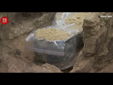 巴黎圣母院地下发现古代石棺