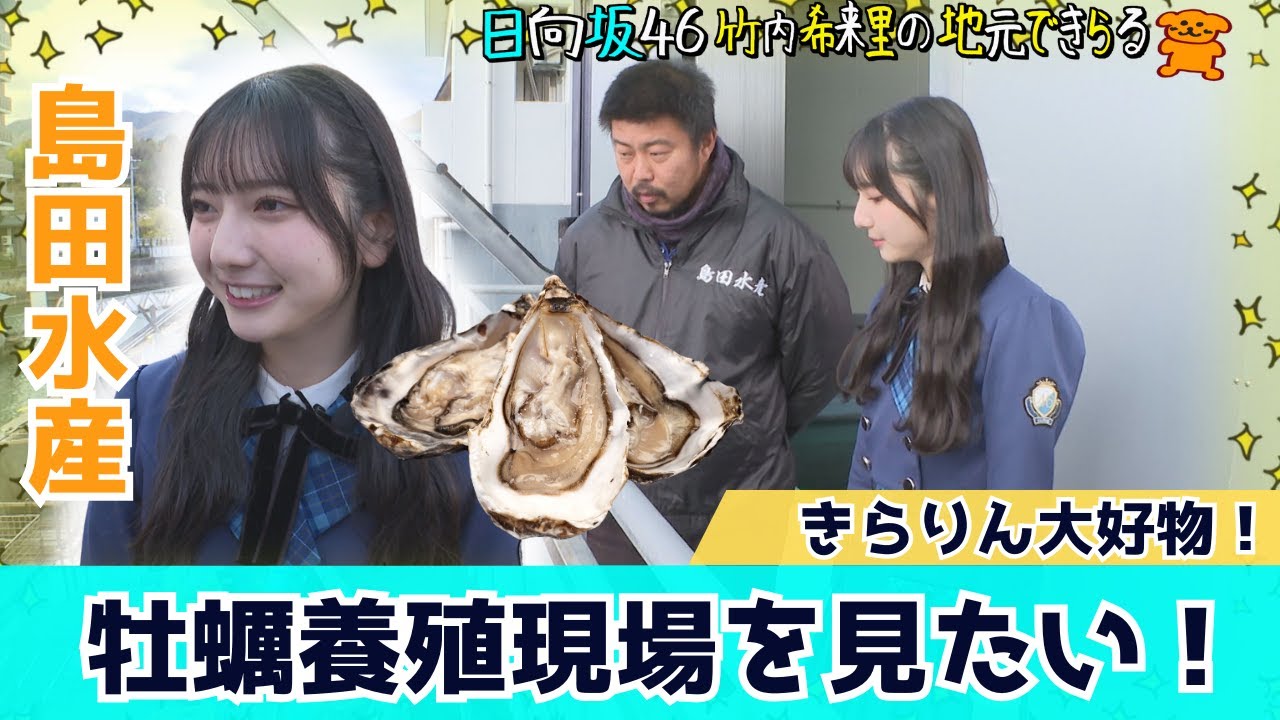 【じもきら第39話】きらりん牡蠣の養殖現場へ行く！ 大好きな牡蠣はどうやってできてるの？日向坂46 竹内希来里の地元できらる - YouTube