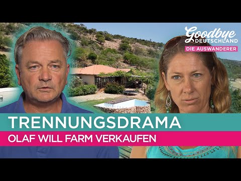 Wer wird den ROSENKRIEG am Ende gewinnen? 😥 | Goodbye Deutschland
