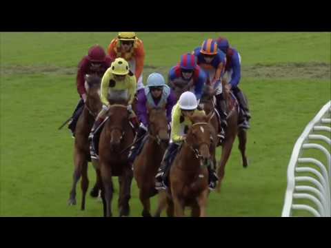 Dubawi's Postponed wins the G1 Coronation Cup Stakes
