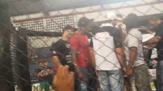 preview picture of video 'Luis Gustavo vs Boi Bandido'