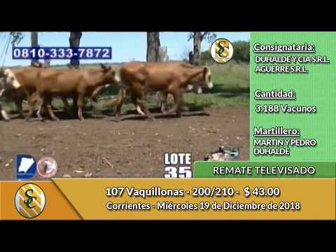 19-12-18 - Remate Televisado de Aguerre & Duhalde - Corrientes