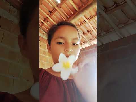 um detalhe temos na cor vermelha local:palácio de marco-ce