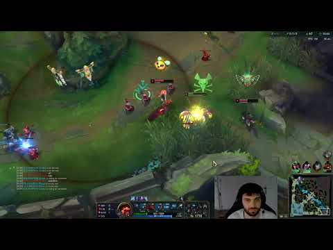 CINKROF LEC READY GRAGAS