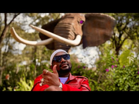 Ndovu Kuu - Hamwezi Nikataa (Official Music Video) #ndovukuu #hamwezinikataa #elephantconservation