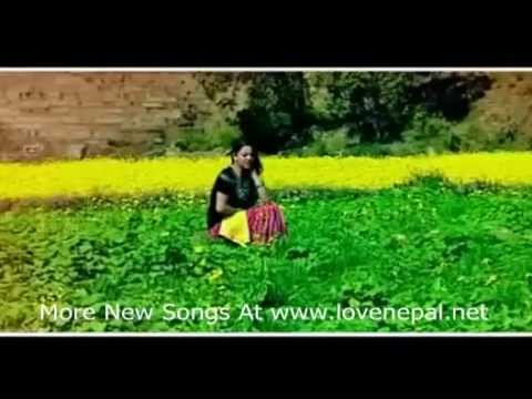 Nyauli Jastai Hunchu न्याउली जस्तै हुन्छु - Bishnu Khatri & Bishnu Majhi