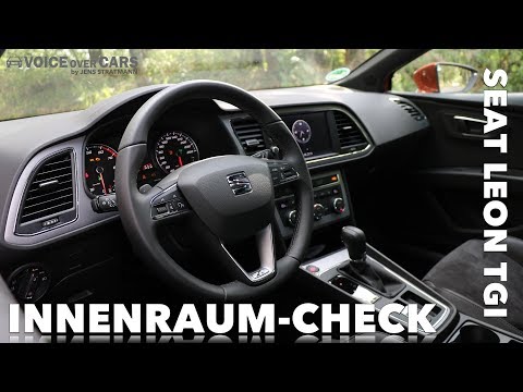 2019 SEAT Leon TGI Innenraum-Check Platzangebot Infotainment Sitzverstellung Kindersicherheit Apple