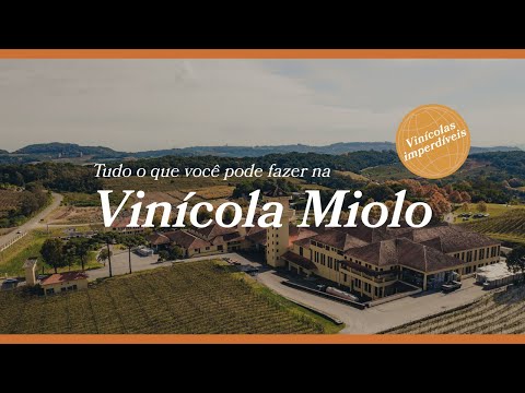 Tudo o que você pode fazer na Vinícola Miolo | Vinícolas Imperdíveis EP 4 | Vale dos Vinhedos