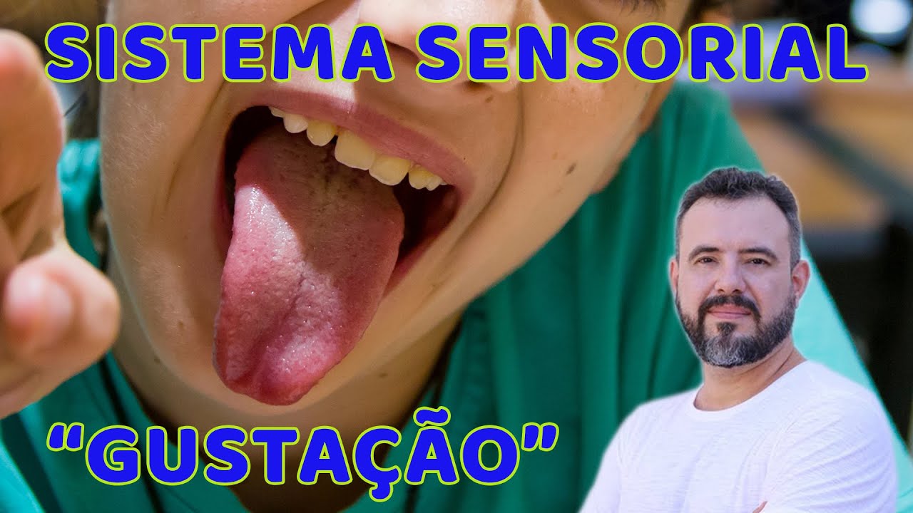 Sistema Sensorial (Gustação - Paladar)