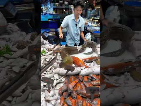 Giant Moray Eel vs Fresh Seafood Market | Amazing Fish Display & Seafood Collection 2026