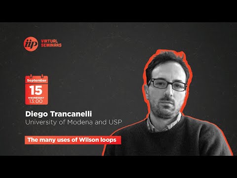Diego Trancanelli - The many uses of Wilson loops