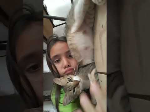 22 de diciembre de 2023