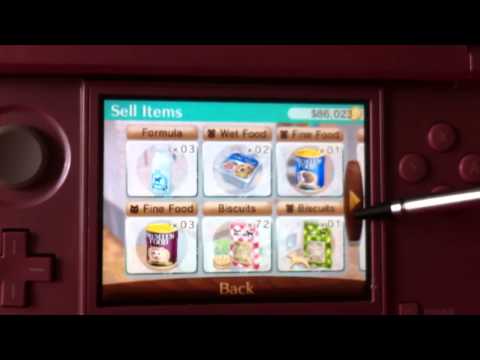 YouTube video about: How to make money on nintendogs and cats?
