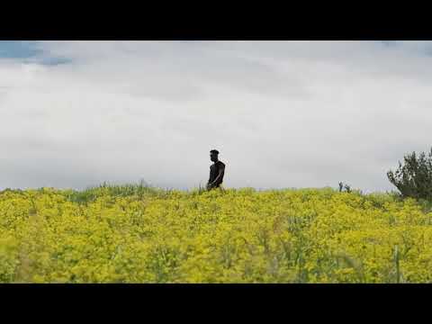 YELLOW SKIES