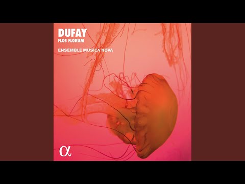 Anima mea liquefacta est