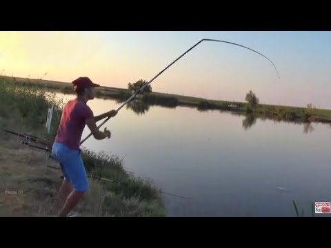 S-a rupt undita baaaa pescuit la crap pe balta cu peste o partida maxima