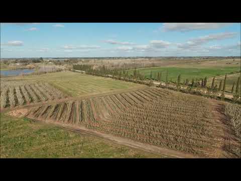RINCÓN DEL GIGANTE - Nuestra Quinta