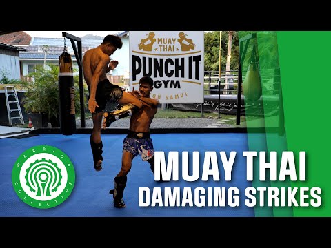Muay Thai Training - 3 Ways to Inflict Damaging Shots with Kru Dam