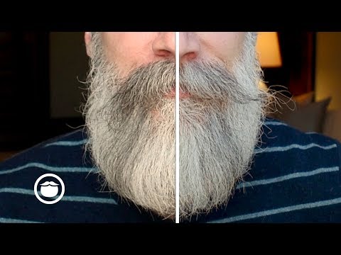 download lagu mp3 mp4 Long Mustache Styles, download lagu Long Mustache Styles gratis, unduh video klip Long Mustache Styles