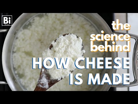 Science Behind: How is Cheese Made? [How Curds Form through Electrostatic Charges & Solubility]