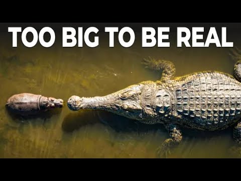 BeyondTheGreen and BeyondTheBlue