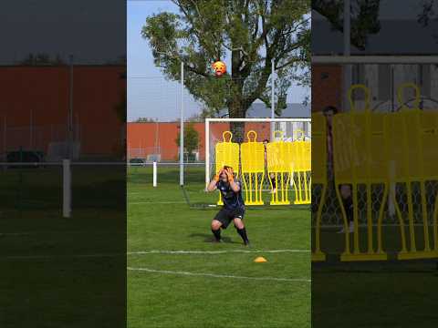 On a encore eu de la chance