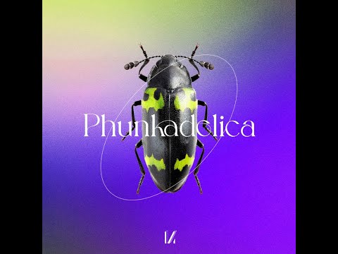 Phunkadelica - By The Power Of Grayskull [Multinotes]