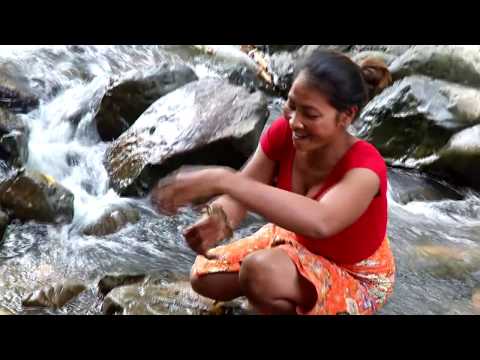 Survival skills: Catch fish by hand & Grilled fish for food - Cooking fish eating delicious #31 Video