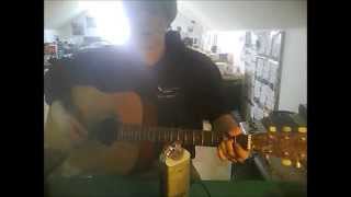 The Brian Jonestown Massacre - What You Isn't full acoustic cover