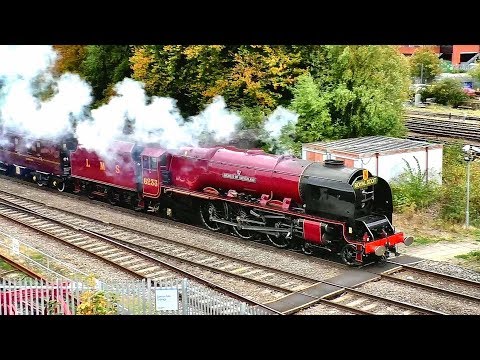 The Stunning  Duchess Red Debut  Down South