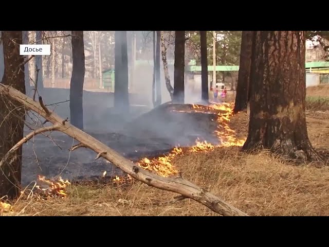 В Иркутской области 19 октября потеплеет до +15