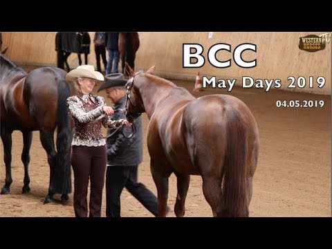 WHTV: BCC May Days 2019 - Impressionen vom  04.05.2019